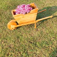 Fioriera in Legno Carriola