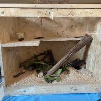 Habitat naturale per criceti fatto a mano