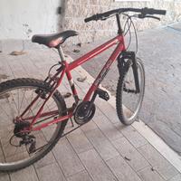 Bici 26 pollici 12 anni