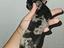 Immagine 6