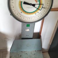 bilancia professionale 