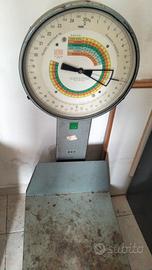 bilancia professionale 