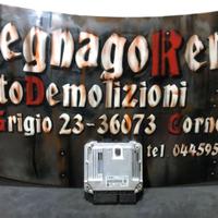 CENTRALINA MOTORE BMW F20 (2011-19) 0 281 018 635