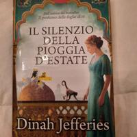 Il silenzio della pioggia d' estate 