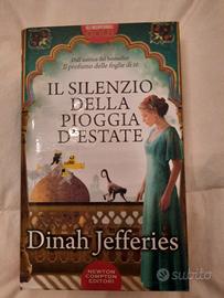 Il silenzio della pioggia d' estate 