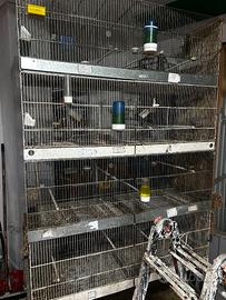 Gabbie da 120  , da 60, 55, batteria