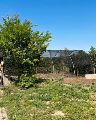 Archi per pollaio o serra