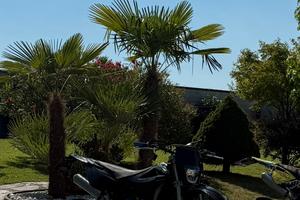 husqvarna sm 125
