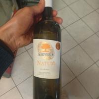 pecorino terre Chieti 