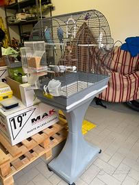 Cocorite+gabbia+accessori