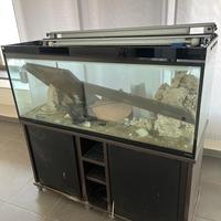 Acquario 1200 litri
