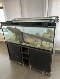 Acquario 1200 litri