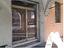 Immagine 7