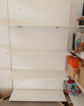 LIBRERIA MODERNA