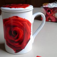 Tazza da the Limoges con infusore