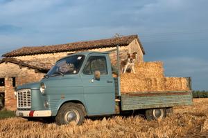 FORD TRANSIT MK1 CASSONATO – 1974 – DIESEL