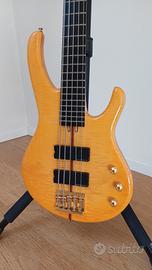 Basso Nardelli Notorius