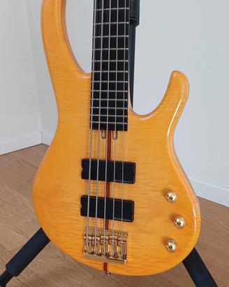 Basso Nardelli Notorius