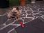 Immagine 1