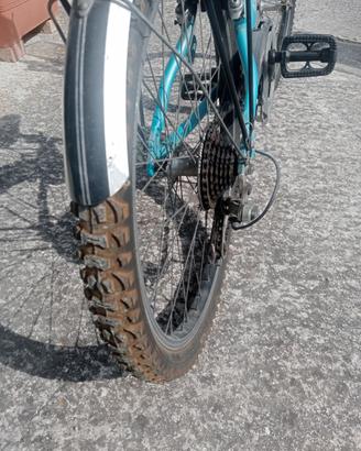 Bicicletta da  24 da bambina