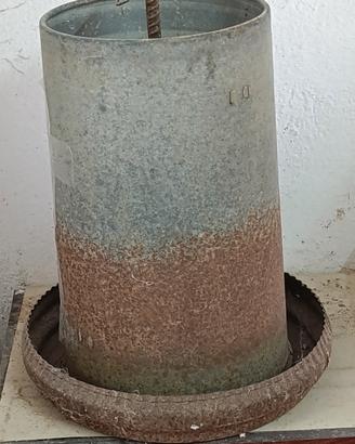 mangiatoia polli