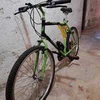 Bici mountain bike