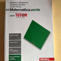 Matematica. Verde seconda edizione 4a, 4b