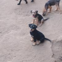 Moka, Tata, Carlotta e Brando