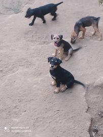 Moka, Tata, Carlotta e Brando