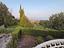 Immagine 29