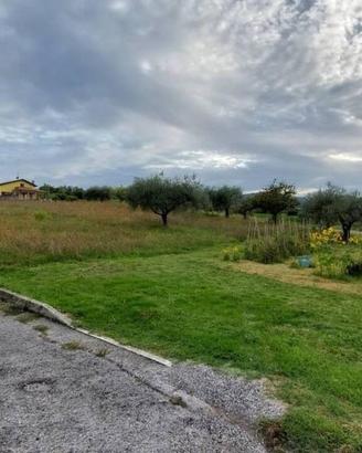 Immobile in asta di 2416 m² a Montefiore Conca