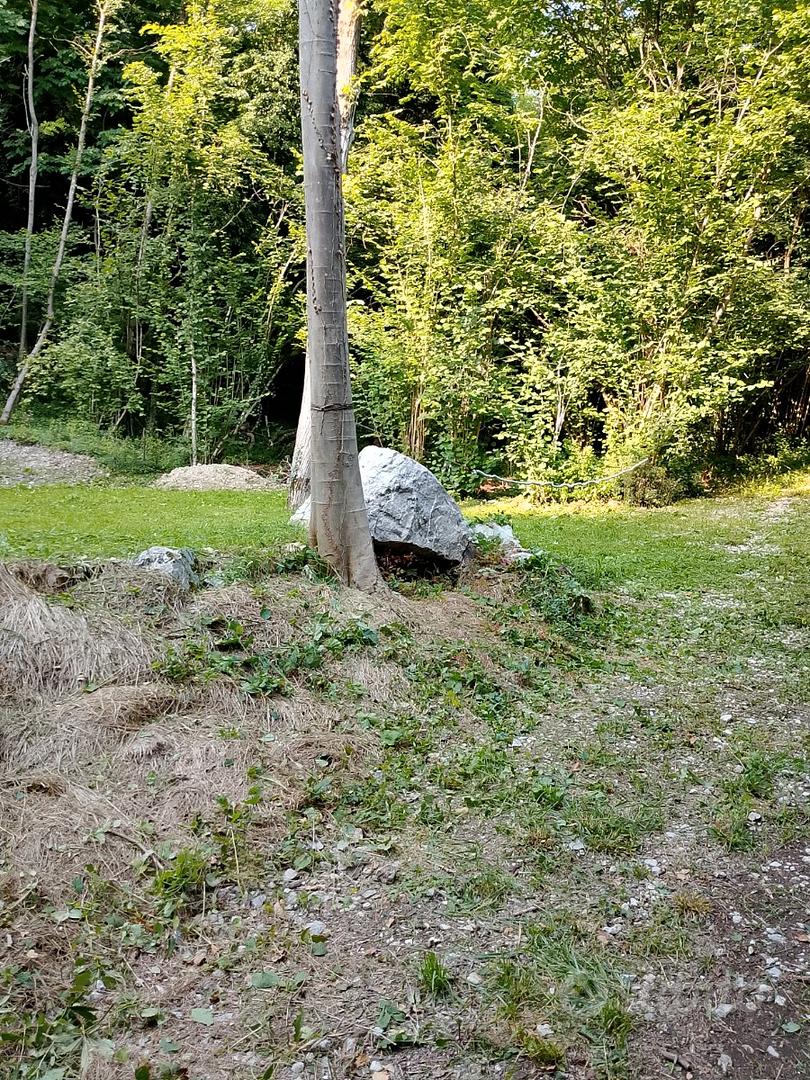 Il Prato nel bosco - Vista 2