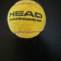 Pallina da Tennis Head