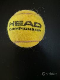 Pallina da Tennis Head