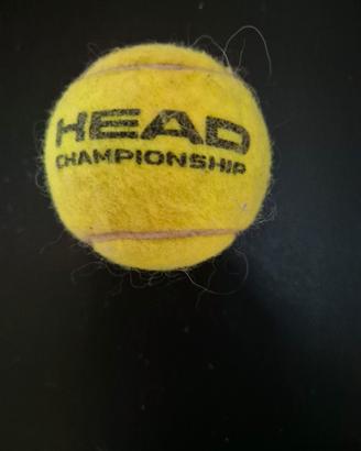 Pallina da Tennis Head