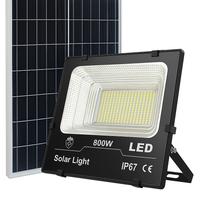 Faro con Pannello Solare 800W 