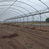 archi per serra zincati 