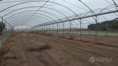 archi per serra zincati 