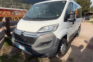 Fiat ducato citroen jumper 9 posti