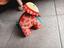Immagine 1