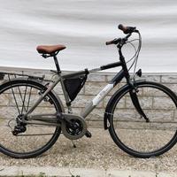 Bici regina con borse