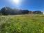 Immagine 18