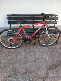 Mountain bike Bianchi