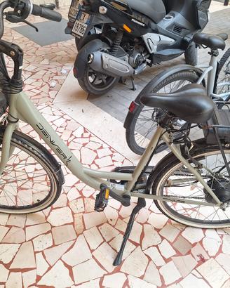 Bicicletta elettrica 