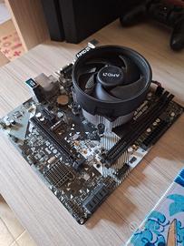 Bundle scheda madre + processore