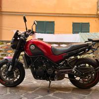 Benelli Leoncino 500 - 2020 Patente A2