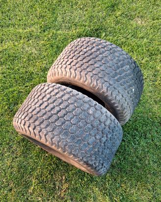 coppia pneumatici trattorino 20x10.00 -8