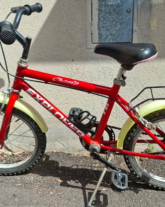 bicicletta 