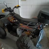 Quad polaris 4x4