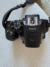 Nikon D 5600